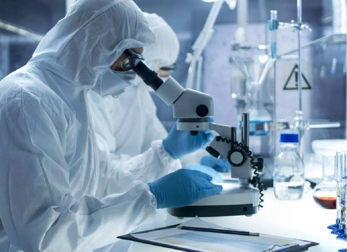 Factory Wholesale Weight Management White kidney beans powder 75% protein carbohydrate block amylase 2% phaseolin