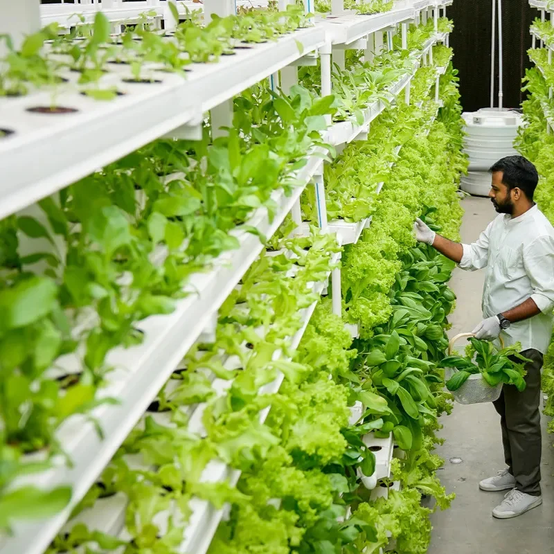 Aquaponics Growing System Aquaponics System Pots for Plants for Fish and Vegetable Glass Greenhouse