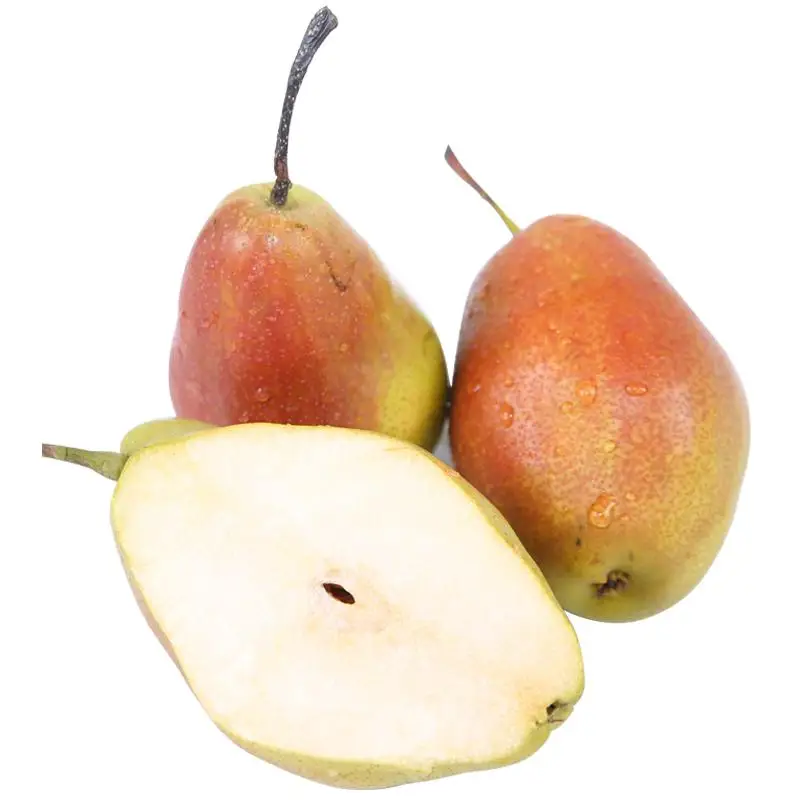 Fresh fruit low price sweet pear high quality sweet juicy fragrant pear (1600458978581)