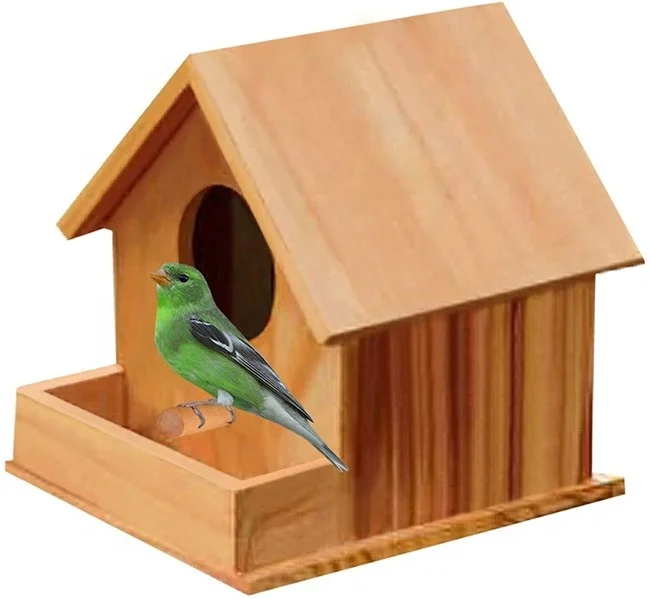 
DIY Paintable Bird House with Porch Attracts Small Birds Craft for Kids Home Decor Beautiful Gift for All Ages Indoor Bird 