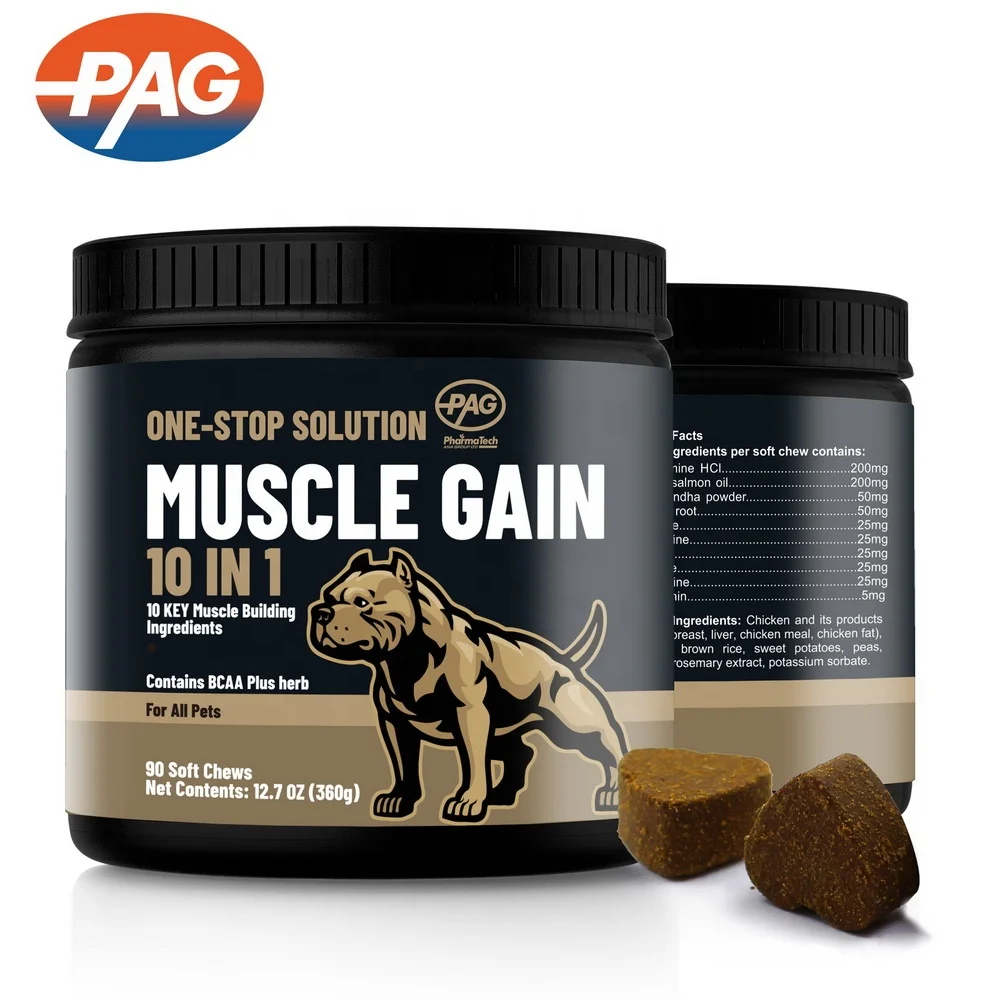 High Protein 10-In-1 Pets Food Supplement Delicious Flavor Chew Bites Pet Care Dog Muscles Builder Supplement For Racing Dogs