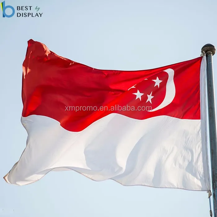 Custom South Asia Country Nepal National Flag