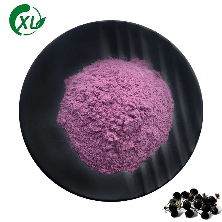 Top Quality Black Wolfberry Extract Pure Black Wolfberry Extract Powder