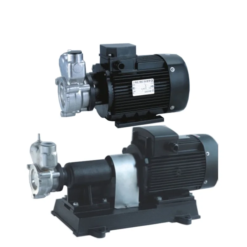 Jet Model 1~12T/hr Nano Bubble Water Generator Centrifugal Pump for Oxygen Ozone Gas-Liquid Mixing for Sewage Circulation