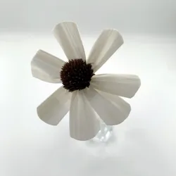 China factory  handmade reed diffuser sola flower dried wood sun Flower with rattan sticks