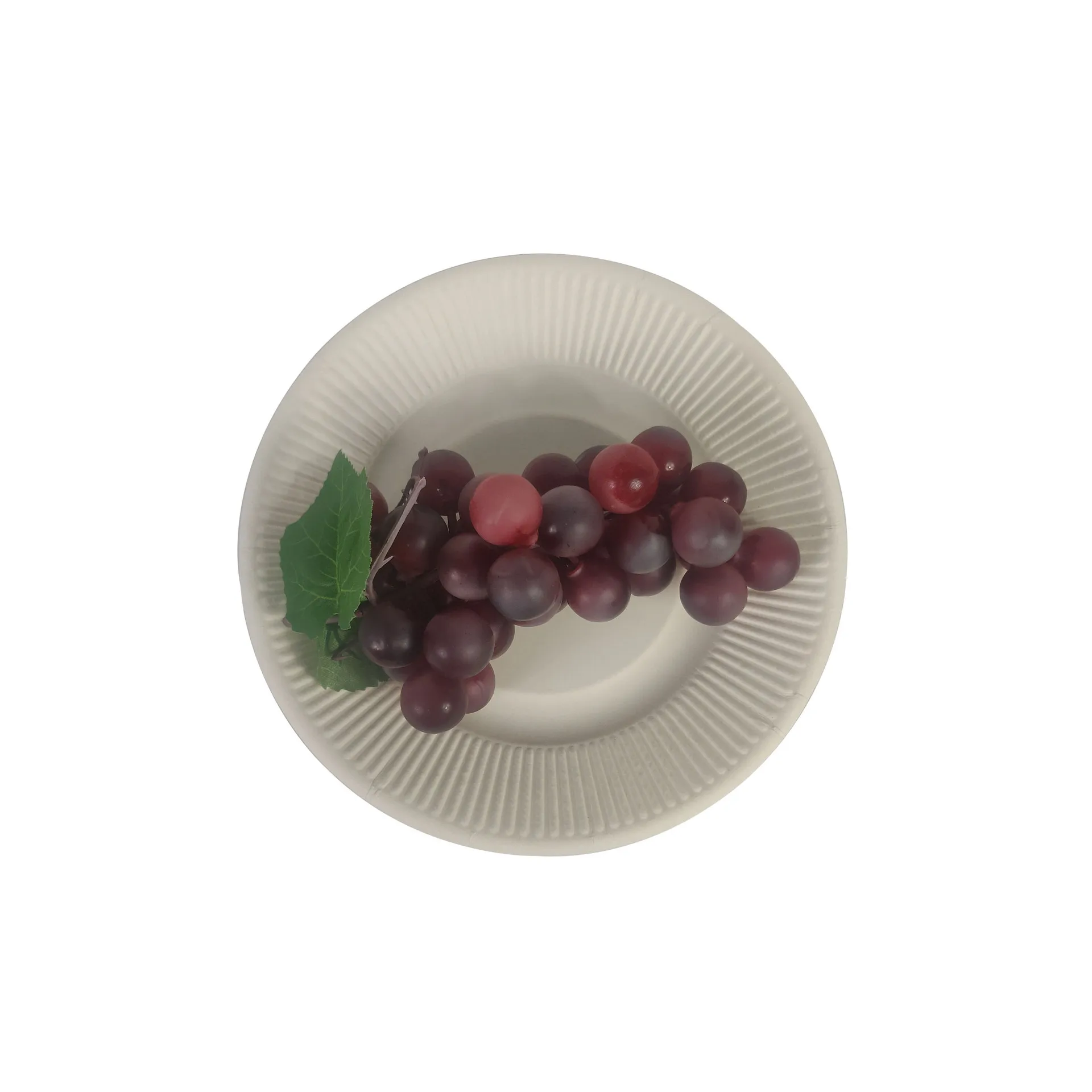 Fully Degradable Bagasse Eco Plate Disposable Cake Food Plate