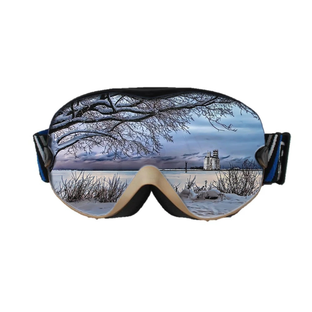 
High quality Photochromic Anti-fog Mirror Lens UV400 OEM Snowboard Glasses Custom Logo Snow Ski Goggles 