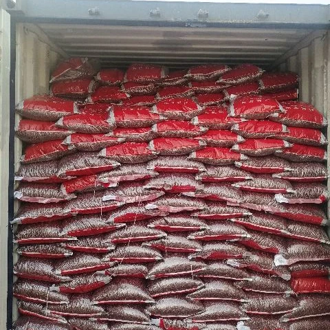 Wholesale red adzuki bean big size