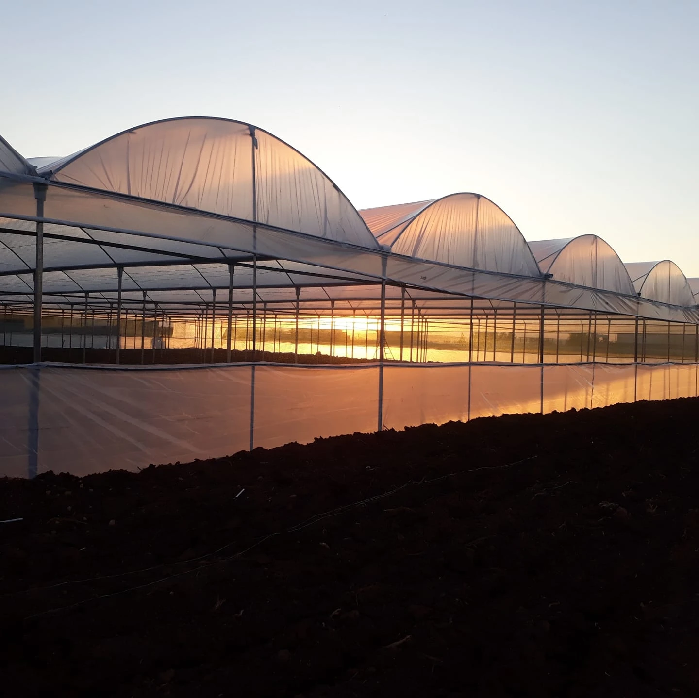 China Cheap Plastic Film Cover Single-Span Greenhouse PE Film Cover Green House Metal Frame