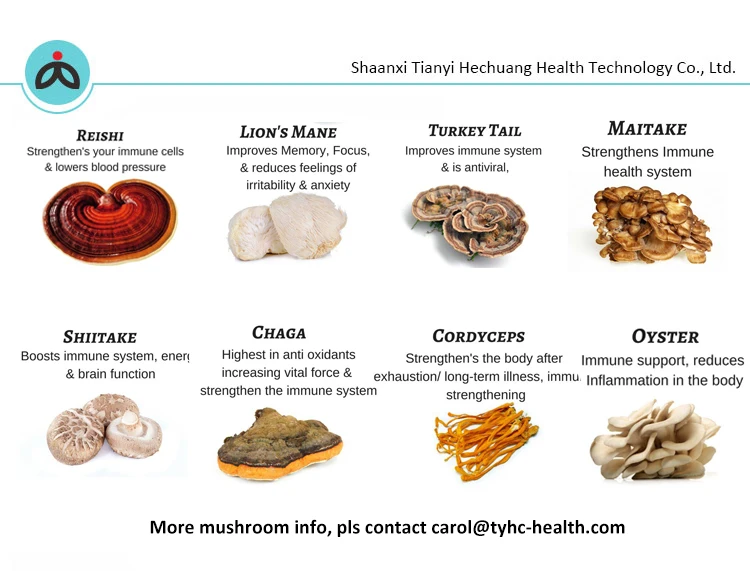 Private Label Mushroom Blend Oyster Mushroom Extract Powder