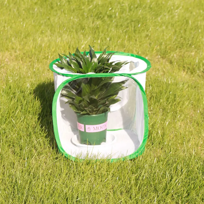 wholesale Large Monarch Butterfly Habitat Breeding Cages Net Giant Collapsible Insect Mesh Cage
