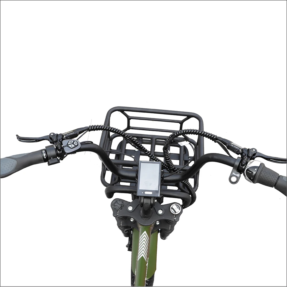 M600 500W BAFANG Mid ETRIKE 3 48V Electric Cargo Bike for Adults Open Body Type Three-Wheel Electric Tricycle