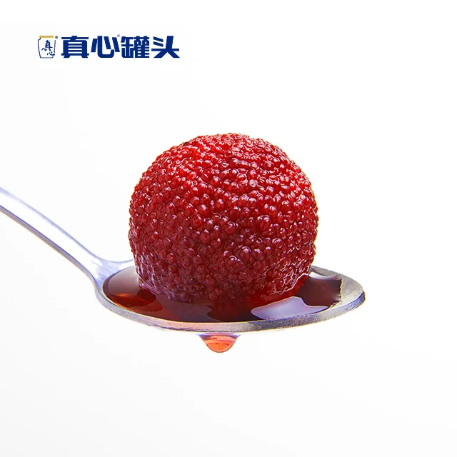 Zhenxin High Quality Canned Fruits Canned Bayberries In Syrup Canned Waxberry