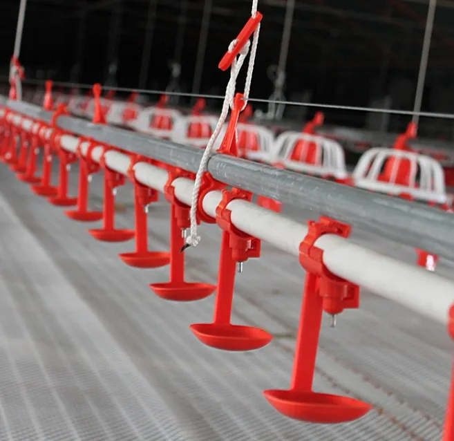 broiler breeer Chicken Feeding Water Drinking System Pan Feeding System