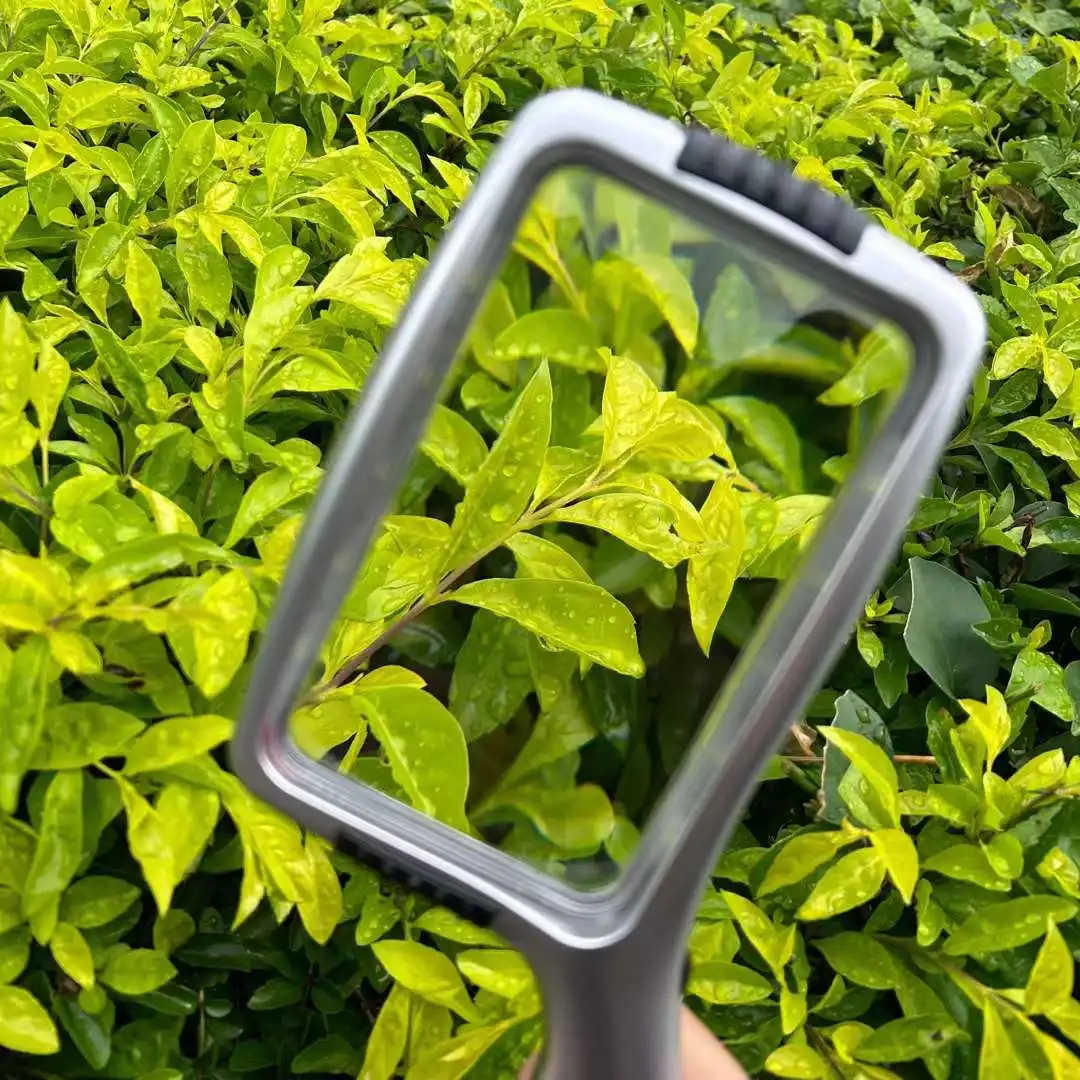 High Quality Wholesale Custom Glass Magnifier 4X Rectangular Magnifying Glass With LED Light For Reading