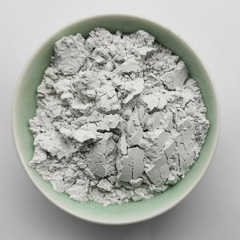 Hot Sale China Diatomite Powder Diatomaceous Earth For Rubber Industry