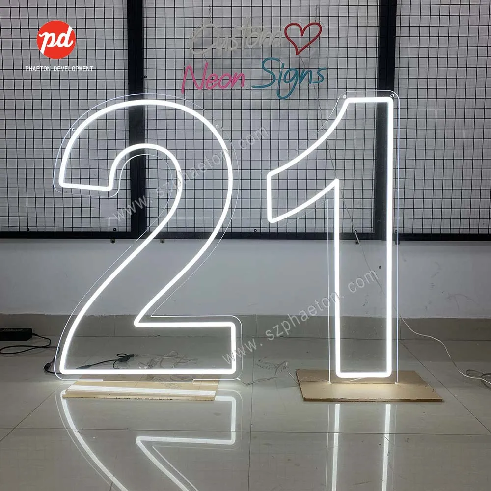 Barbie Girl Decoration Neon Light Sign Fabulous Barbie Theme Party for 1st 2nd 3rd 4th 5th Birthday