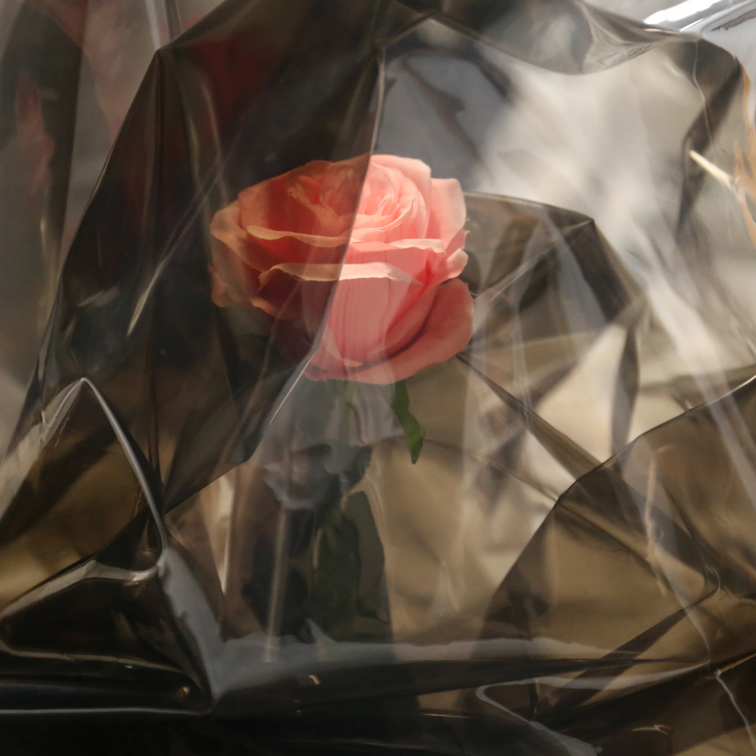 matte black TPU film for garment and rainwear skin-friendly waterproof soft