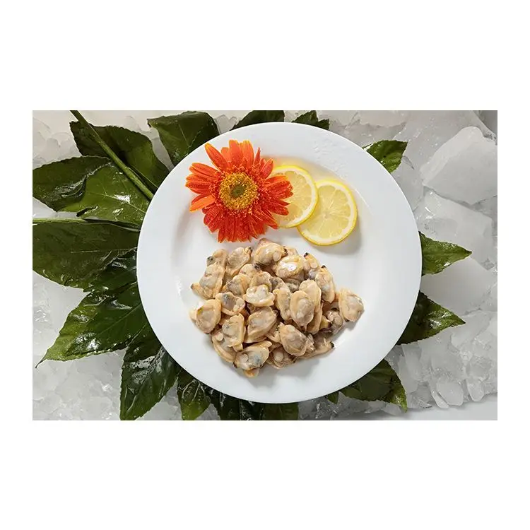 New wholesale good quality seafood buyers favourite chinese seafood clam meat