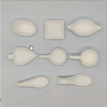 Compostable Bio-Sugarcane Bagasse Small Spoon Shaped Sauce Pan Disposable Shape