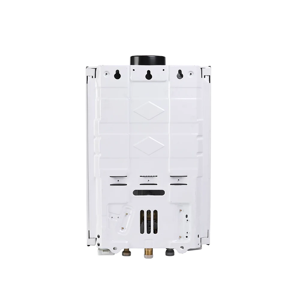 Instant Frequency Conversion Heating Bathroom Gas Water Heater Dry Burning Protection Indoor Gas Water Heater