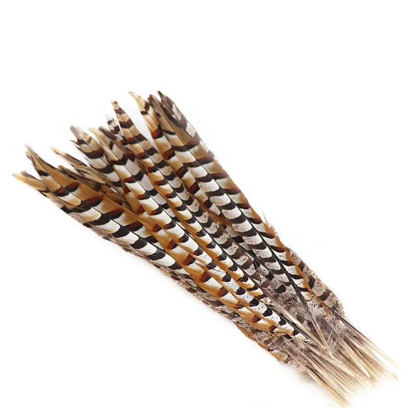 Cheap Large Natural Plumas Reeves Pheasant Tail Feathers 10-150CM for Carnival, Samba, Pattaya performances