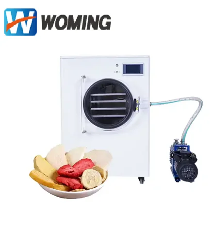 Small 0.1 m2  2KG Freeze Dryer Food Drying Lyophilizer Machine For Home Use Vacuum Freezing Dryer Fruit Vegetable Juice