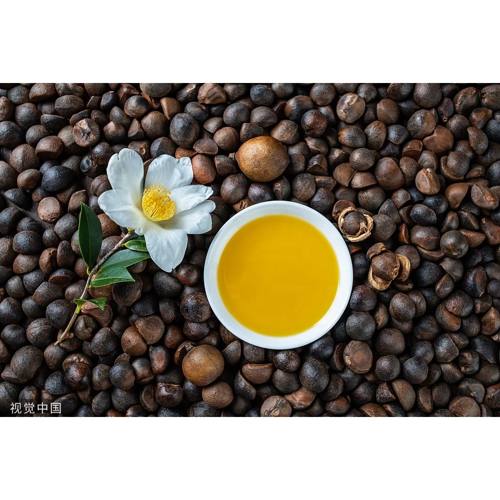 OEM/ODM Service for Camellia Oil 100% Pure Top Factory Camellia Oleifera Seed Oil Cold Pressed ORIGINAL EQUIPMENT MANUFACTURER