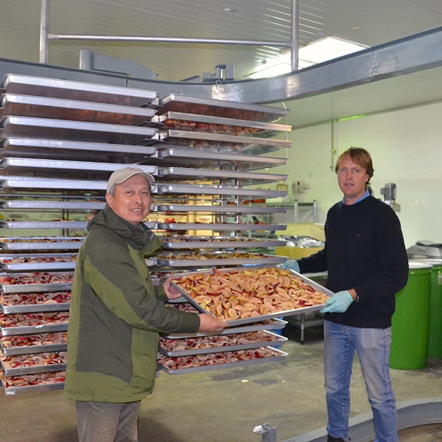 Continuous commercial food freeze dryer customized 1000kg fruit freeze dryer sale price