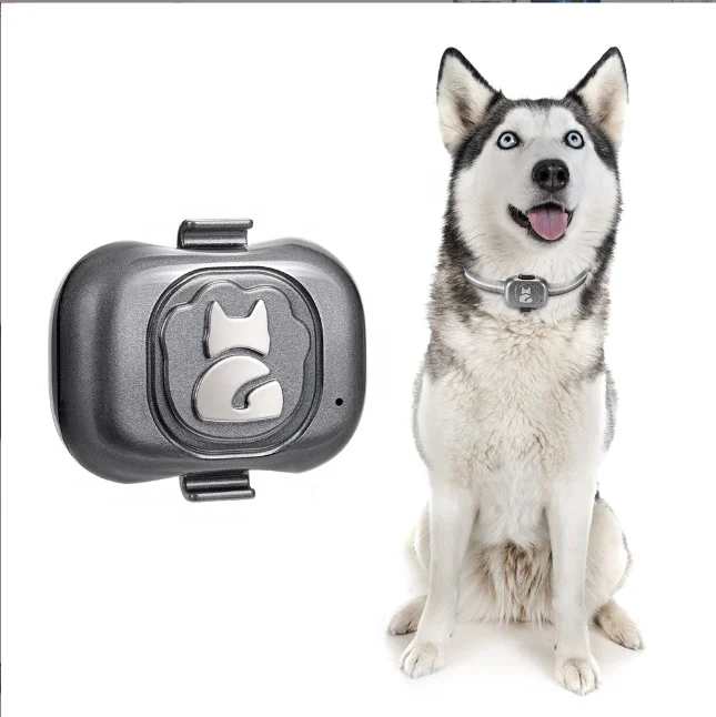 Hot Sale GPS Tracker  Pet Tracking Smart Collar ( IOS and Android) Real-time Location With SIM Card  Dog Collar
