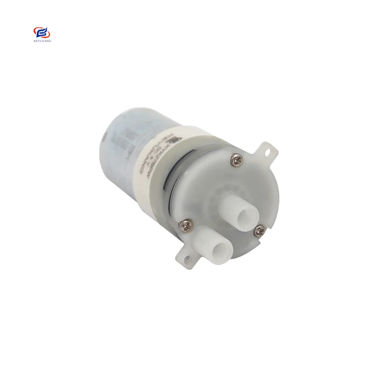 Fast Shipping Low Power Consumption Micro Electric Motor Water Pump