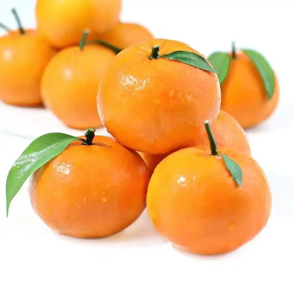 Fresh Citrus Factory Mandarin Price Wogan Mandarin Navel Orange (1600705273364)