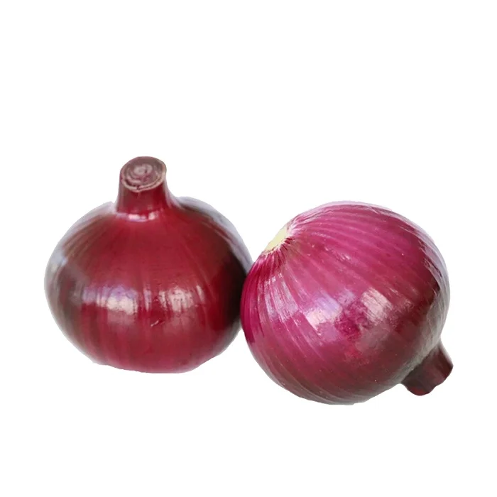 Fresh Onion In Bulk Cheap Red/Yellow Onions For Sale,TS-ONION004, Fresh Onion In Bulk, Cheap Red/yellow Onions, Onions For Sale