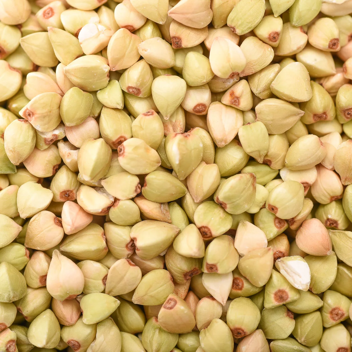 2022 healthy food bulk buckwheat rice Low fat sugar free  cheap best quality buckwheat rice