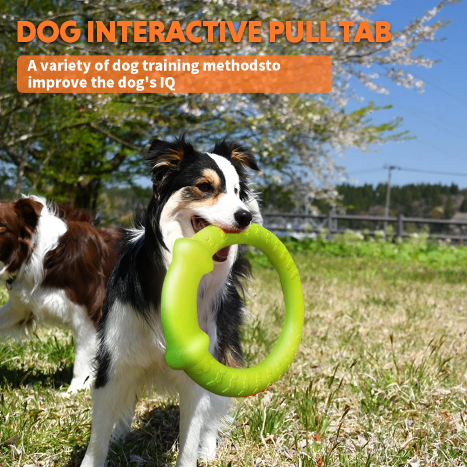 LaRoo 2024 Hot Sale Dog durable Chew Tooth Cleaning Toy EVA Dog Toy Ball Interactive large Dog Chew Rope Toy