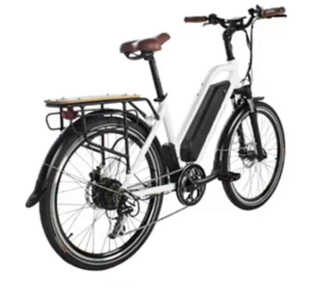 2024 Recommend 2 person Electric Bicycle with Motor Smart Electronic Super Strong 90 Kilometer Range for Daily Commuting
