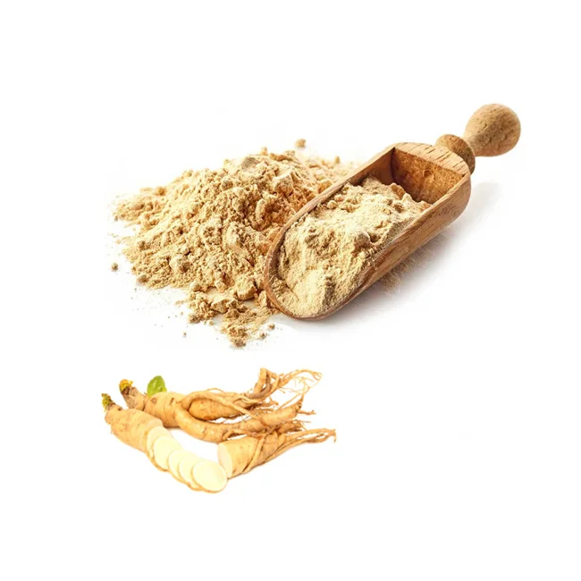 Sale Ginseng Extract Powder 5% 25% 50%  Ginsenosides in bulk