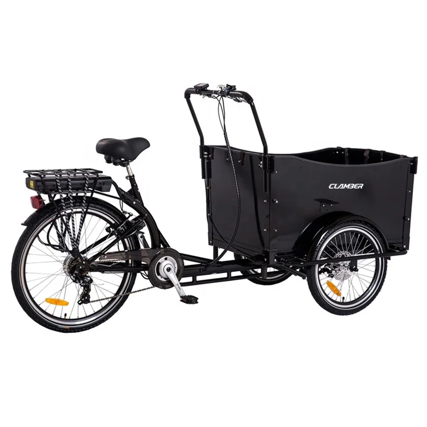 Electric Cargo Bike with Rear Carrier Battery 36v Three-Wheel Steel Frame for School Bus Use