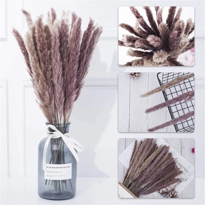 Dried Pampas Grass Decor Flowers Bouquet Pompass Grass Branches/ Pompous Grass For Flower Arrangements Wedding Home Decor