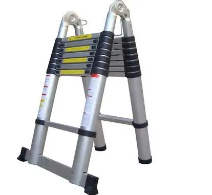 Double Telescopic Ladder