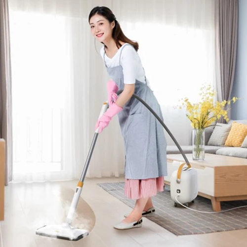 Поддержка образцов машина для паровой очистки дома пароочиститель с 8 аксессуарами Паровая