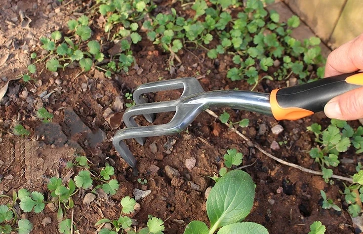 Colorful Gardening Tools Bonsai Tree Real Plant Carbon Steel Gardening Bonsai Tool Set For Trimmin