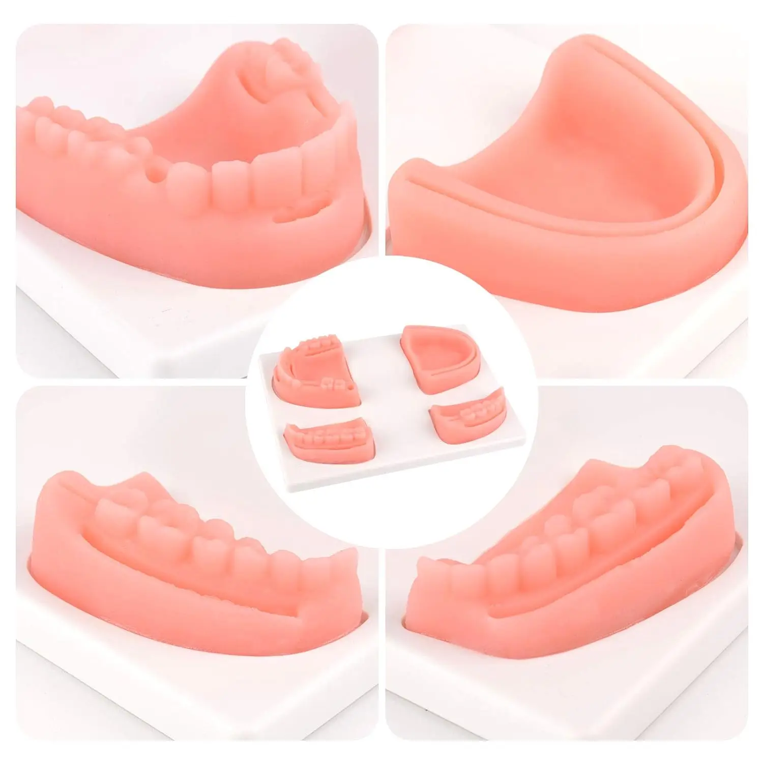 Best Dental Suture Practice Pads for Dental School Students Dental Suture Training Kit for Gum Cutting Gingival Suturing