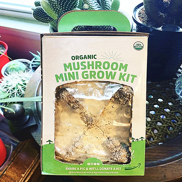 Custom Brand Organic Oyster Corrugated Cardboard Box Mushroom Growing Kit Packaging Box For Mushroom