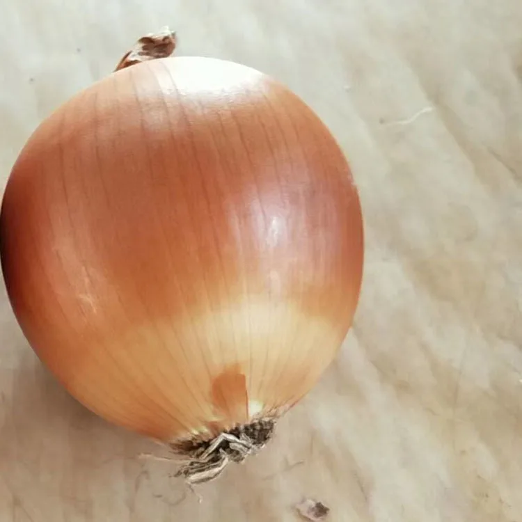 Лидер продаж желтый свежий