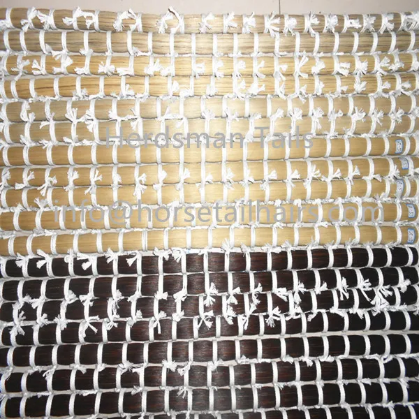 Most popular natural horse hairs , horse manes and tails for making tail extensions , tassels and violin bows