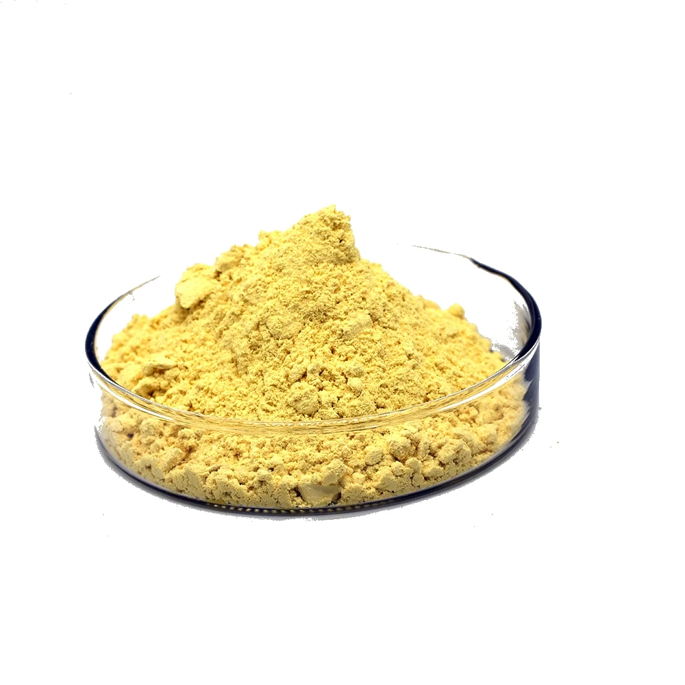 Factory CAS 153-18-4 Rutin Powder 95% Rutin