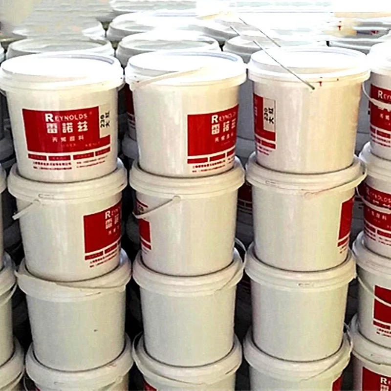 Rayloz acrylic paint hand-painted wall painting 300ml 10 kg VAT waterproof painting paint art special