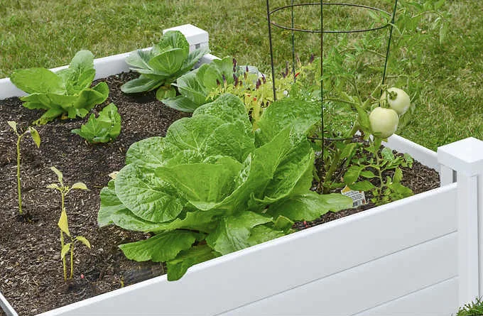 garden raised bed plastic kits,raised bed garden planter box for vegetables,vegetable plastic raised garden bed