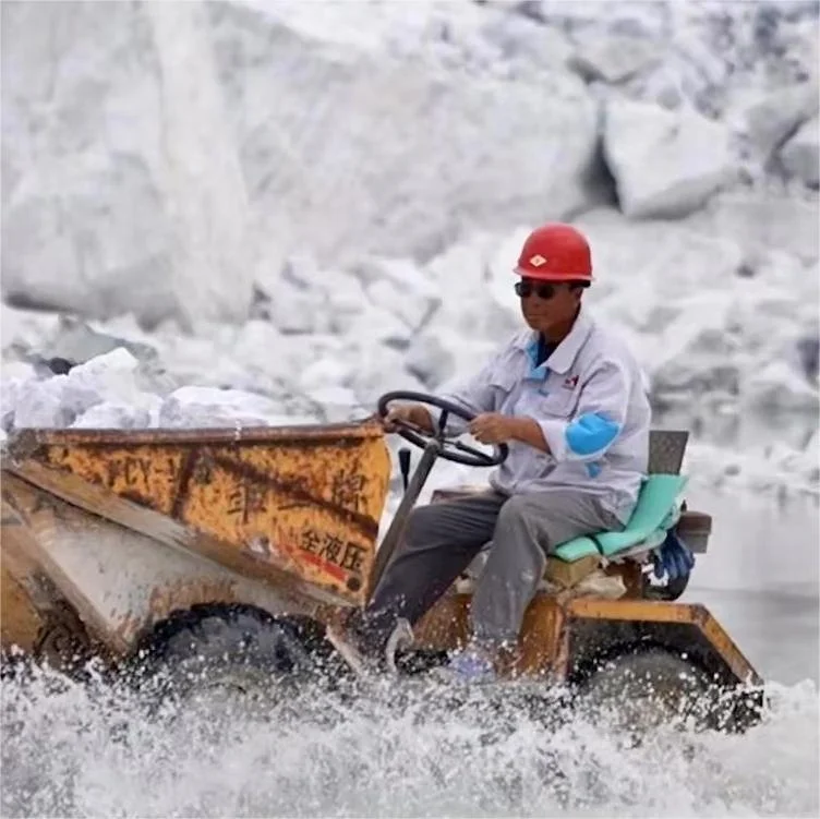 The largest manufacturer and supplier of wollastonite in Asia High aspect ratio and low loss on ignition 52% SiO2